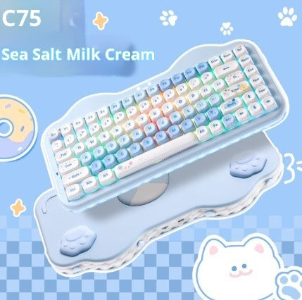 RGB Hot-Swap Wireless Mechanical Keyboard